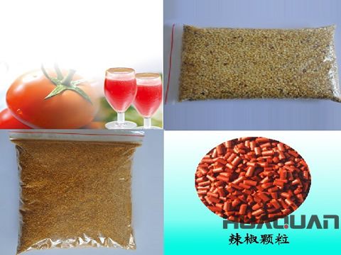 奔走在沙海、雪山的邊緣