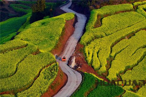 知道“油菜花之鄉(xiāng)”嗎?羅平好地方,華全發(fā)貨忙!