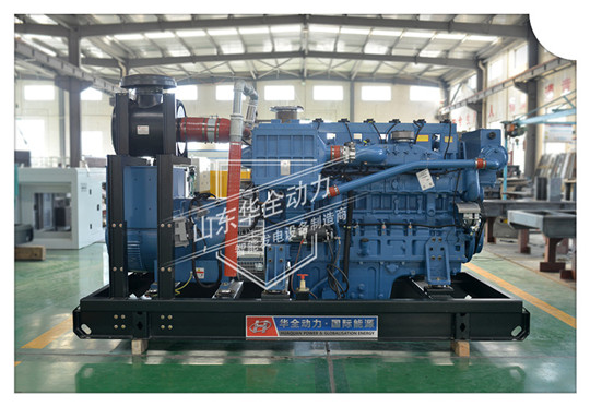 華全環(huán)保燃?xì)獍l(fā)電機組