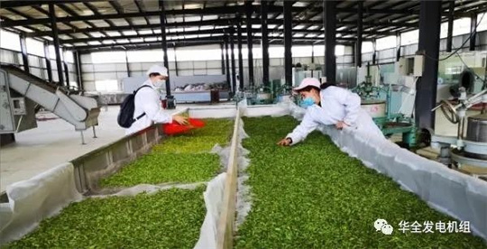 用電炒茶!華全800kw集裝箱發電機組發往大山深處